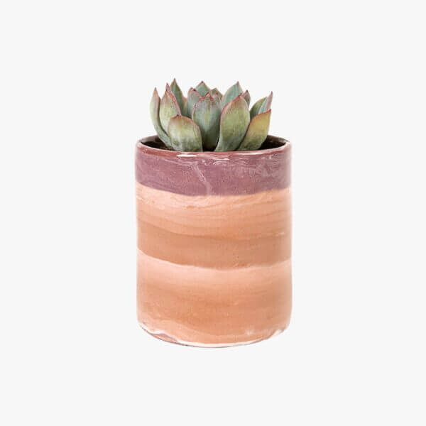 Brown Textured Plant Pot