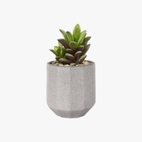 Grey Stone Plant Pot